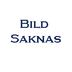 Spännband för Brandsläckare för rallybil